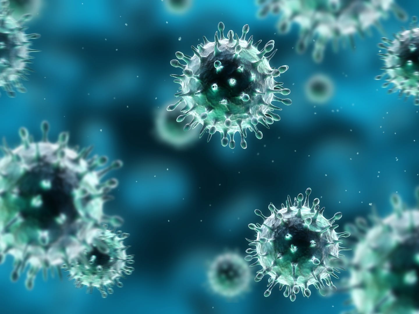 Swine flu update #2