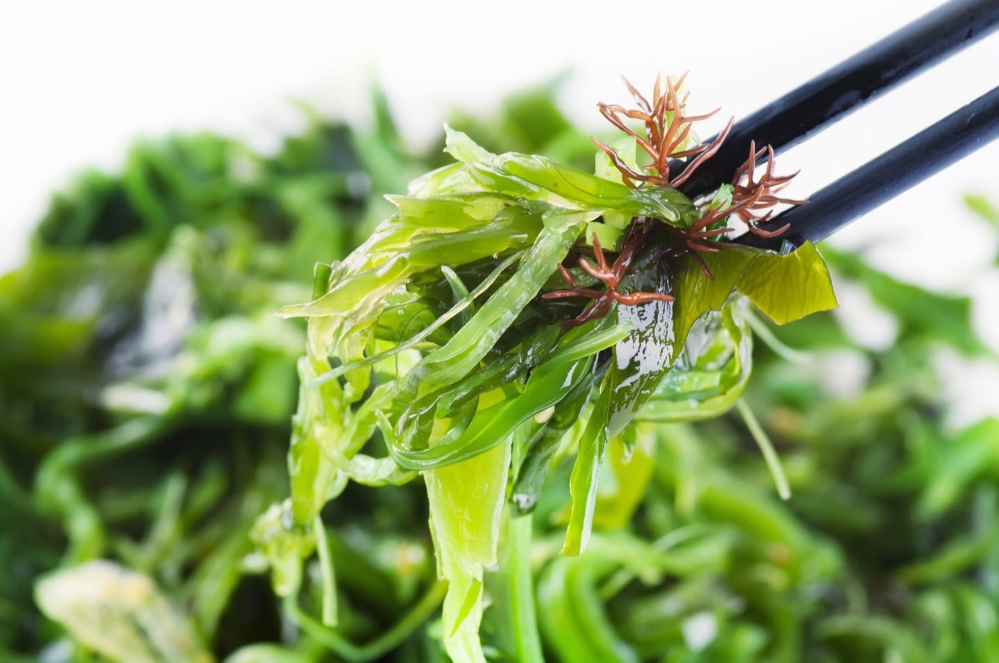 Are you getting enough iodine?