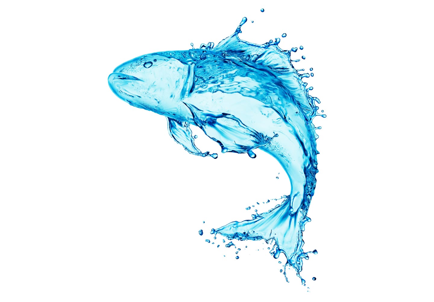 Mercury in fish – keep to the limits