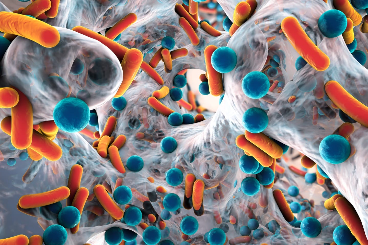 How you can help prevent antibiotic resistance