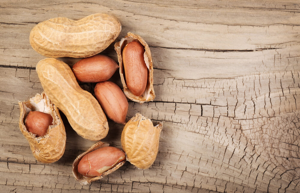 Peanut allergies in children on the rise