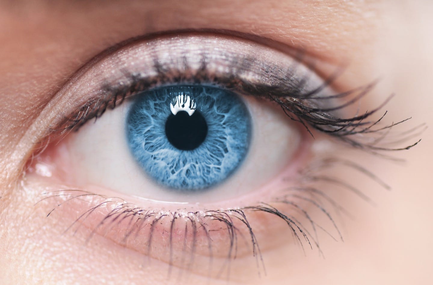 Keep an eye on your macula