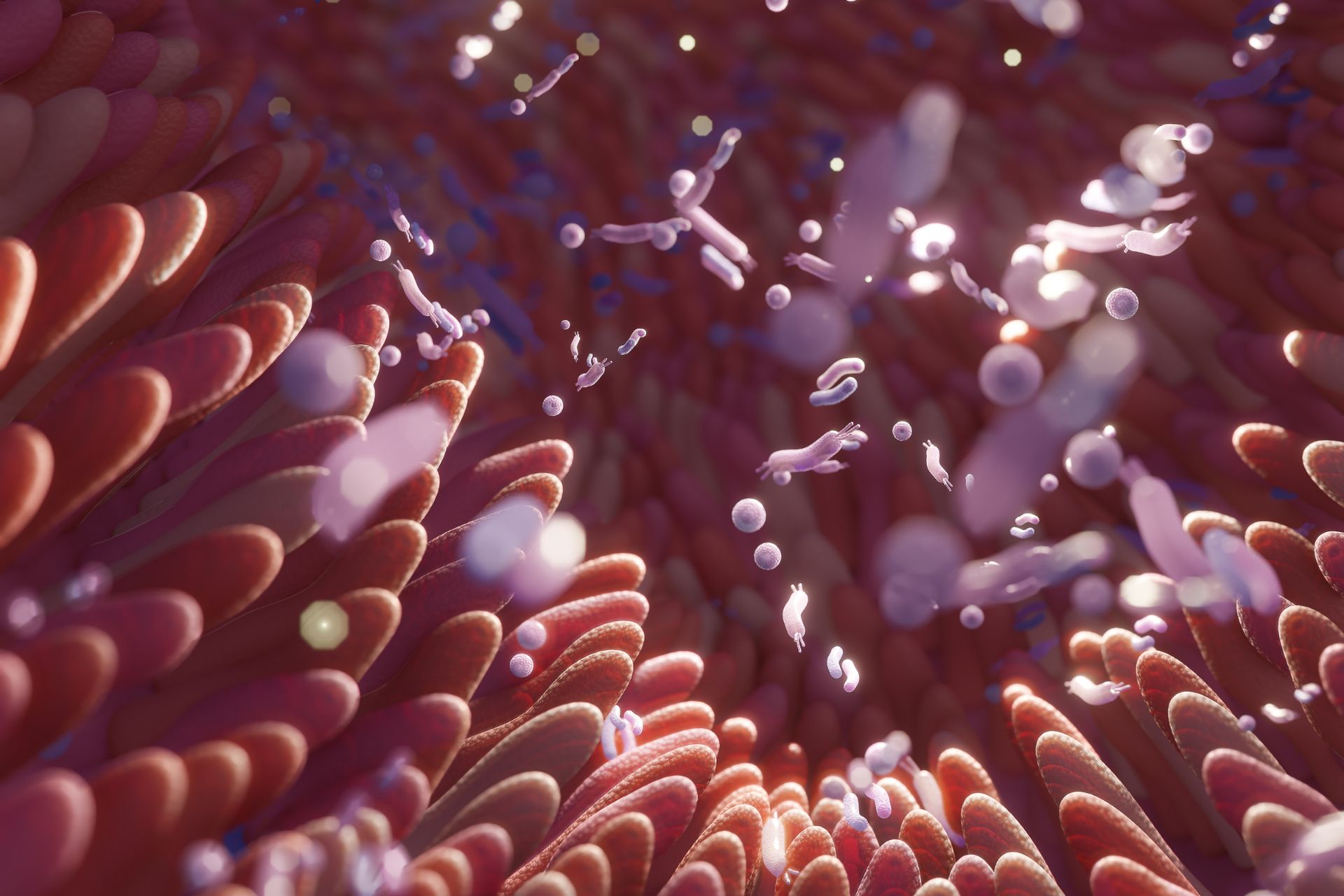 Your Gut Microbiome and Health