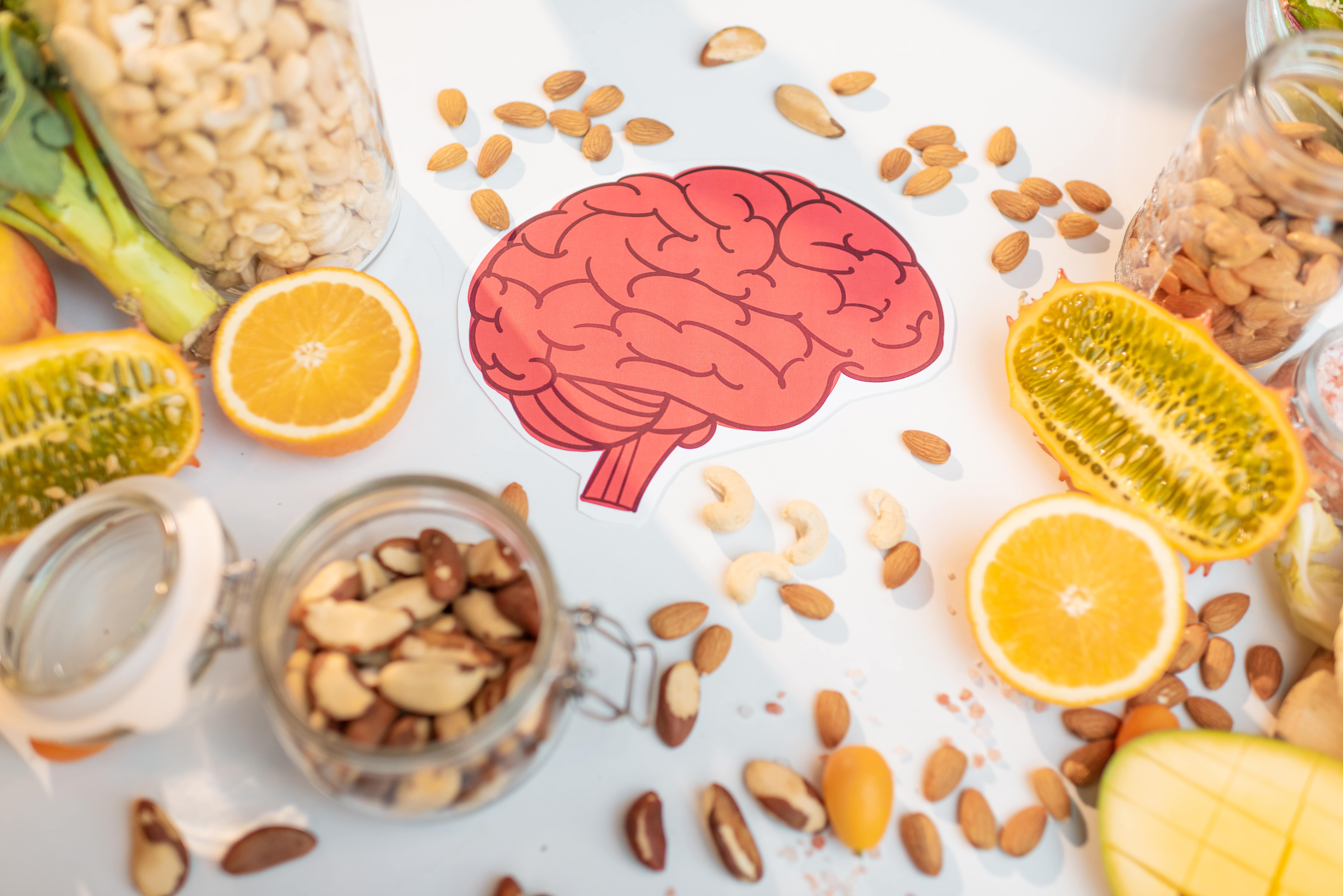 How to Maintain a Healthy Brain