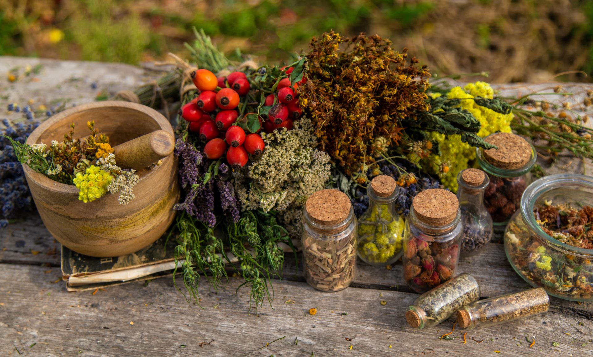 Top 7 Herbs to Boost Your Immune System Naturally
