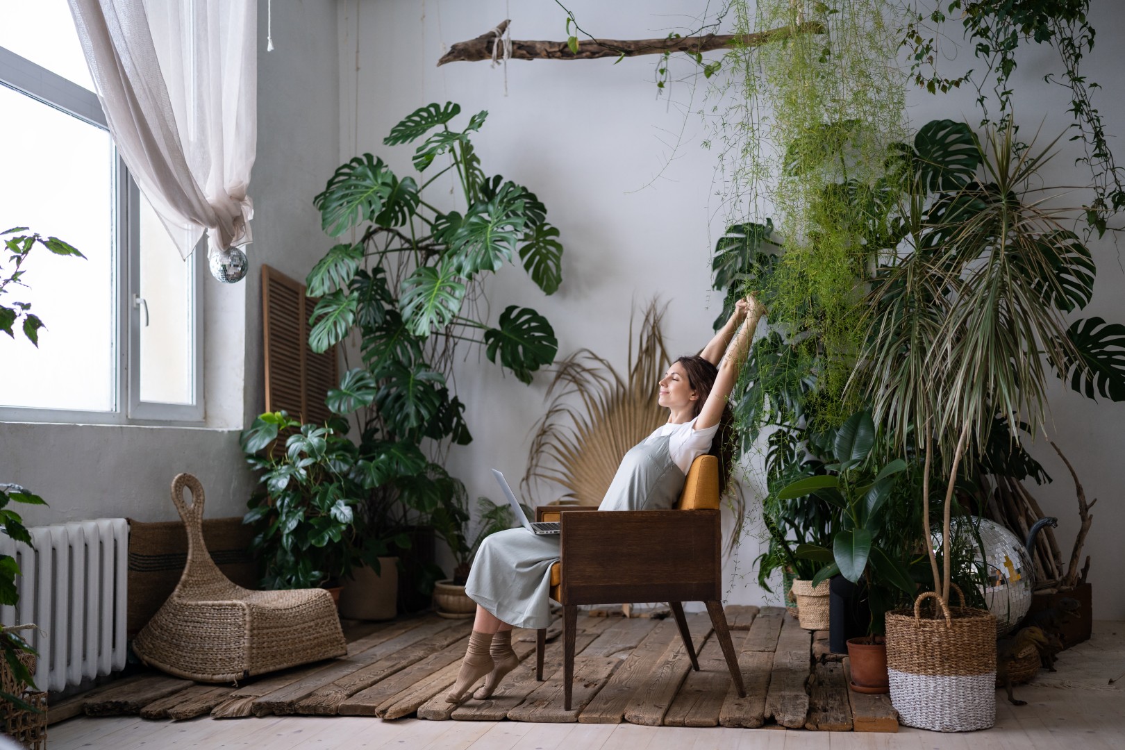 Artificial Plants for Mental Wellness: Can They Improve Focus and Calm